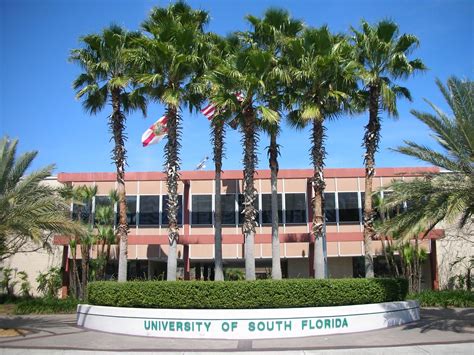 university of south tampa|university of south west florida tampa.